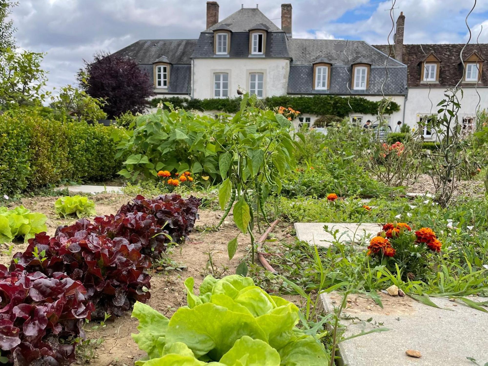 Maison De Famille Pres De Montargis - Elegance Et Confort En Foret - Fr-1-590-354 Paucourt Buitenkant foto